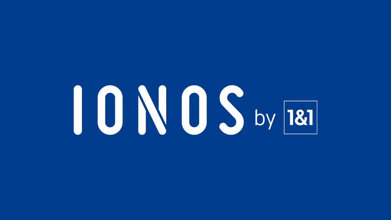 Ionos web hosting