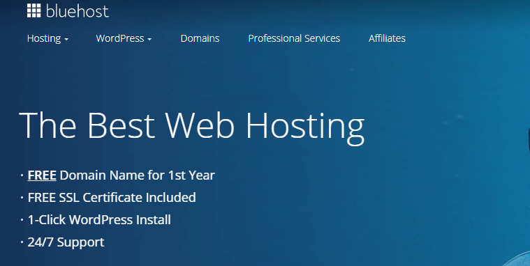 Best hosting and domain provider