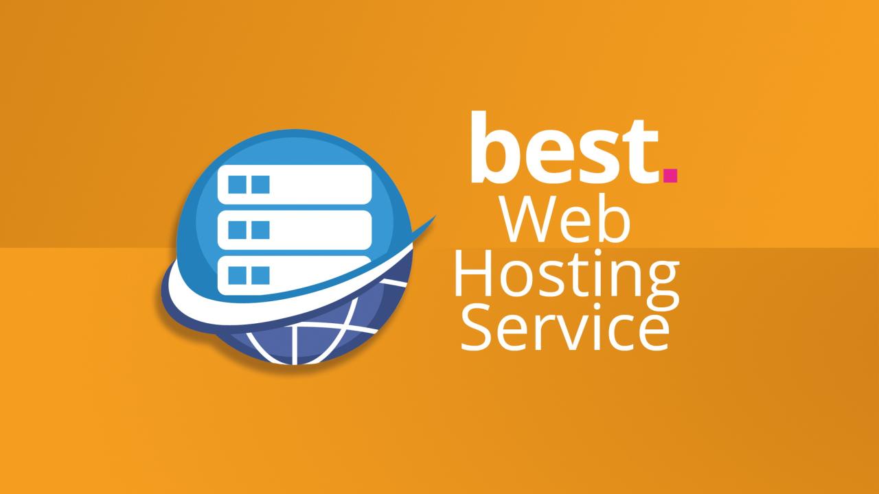 Web hosting providers