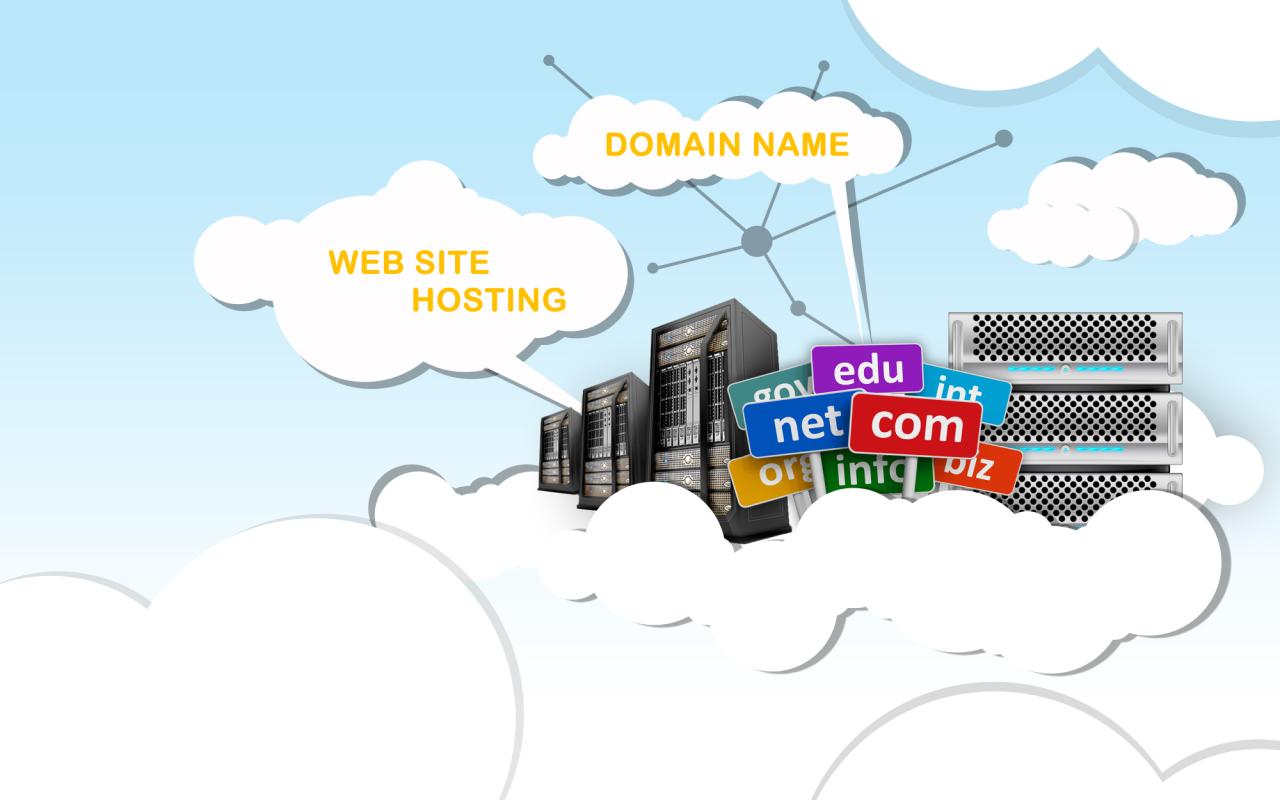 Domain hosting