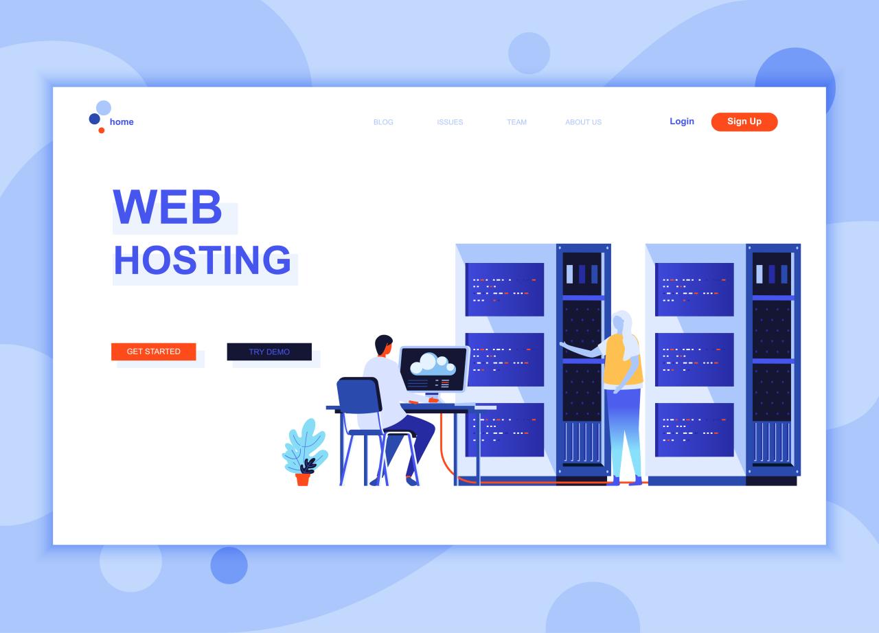 Website design and hosting